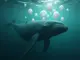 anonymous-whale-moves-68m-in-xrp-to-coinbase-sparking-fears-of-massive-sell-off